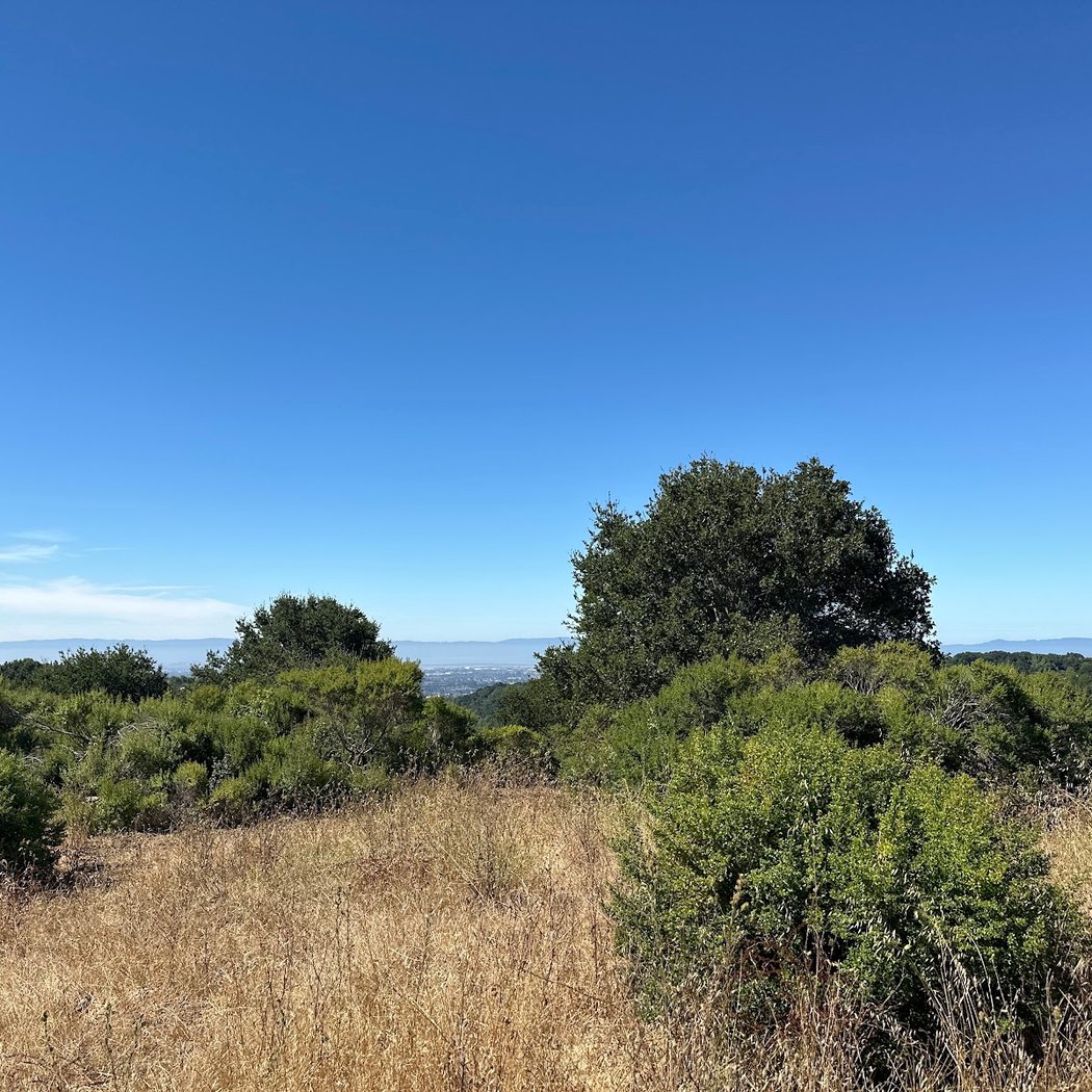 Chabot to Garin Regional Trail 2