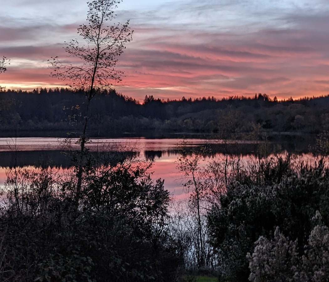 Riverfront Regional Park Picnic Area 1