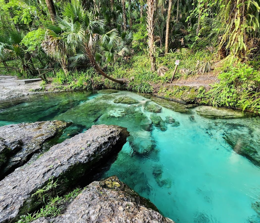 Kelly Park - Rock Springs 2