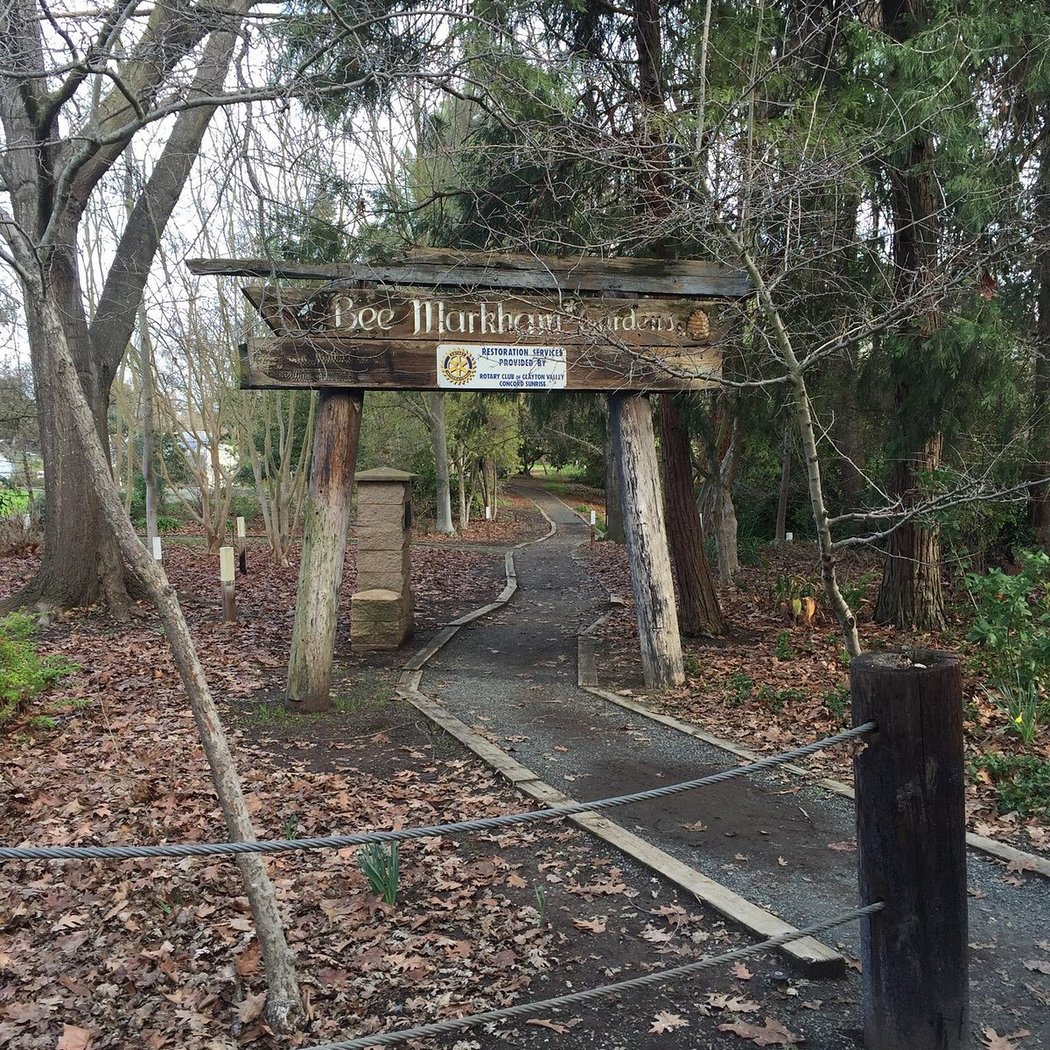 Markham Nature Area 3