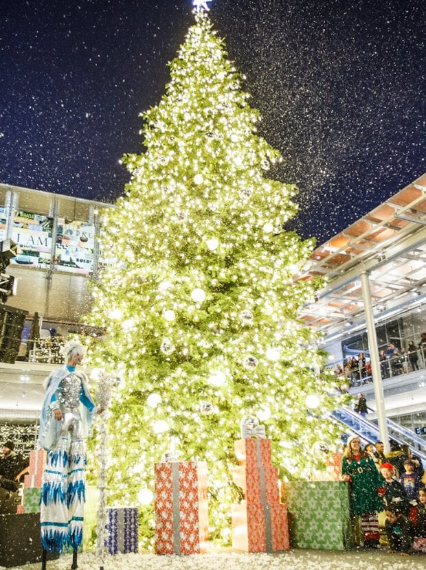 Holiday Tree Lighting Ceremony 1