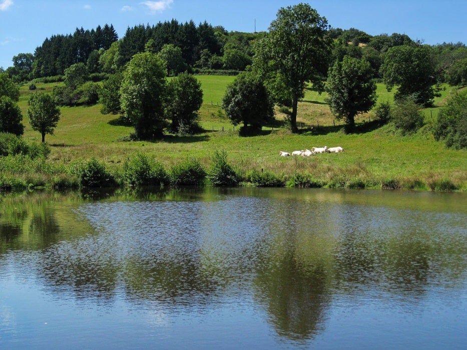GR 765 De Cluny (Saône-et-Loire) au Puy-en-Velay (Haute-Loire) 2