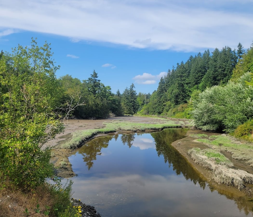 Poulsbo's Fish Park 1