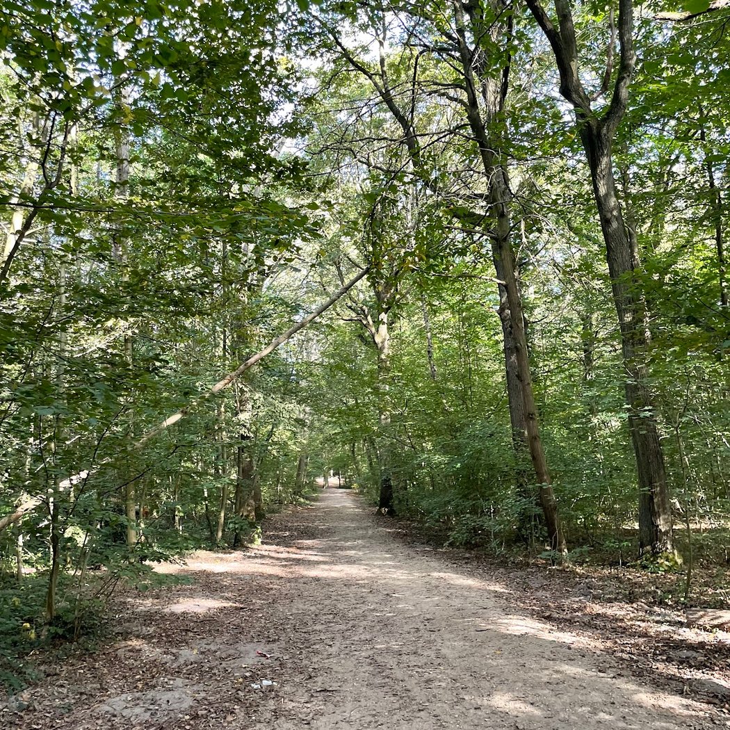 Forêt Régionale de Bondy 2