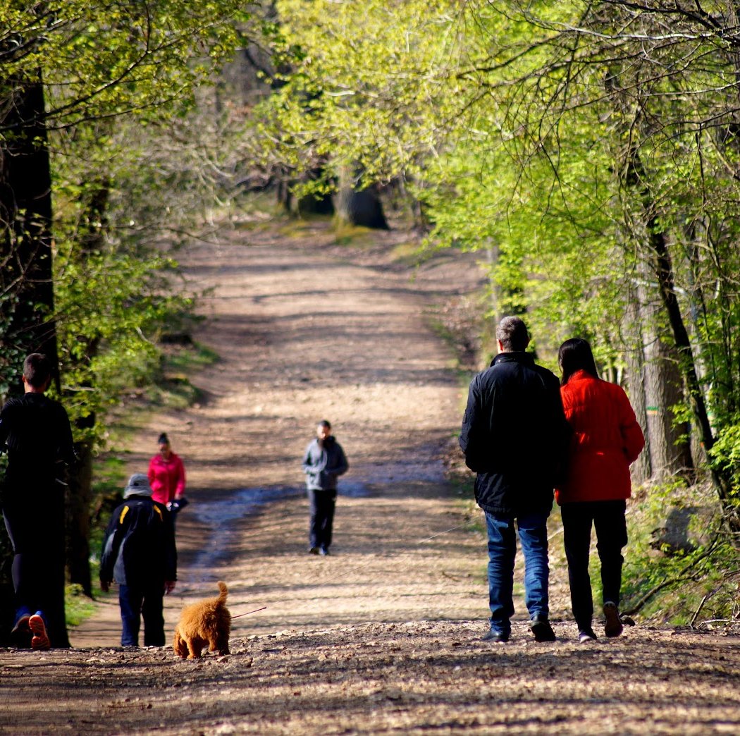 Randonnée - Entre jardins et forêt à Verrières-le-Buisson 1