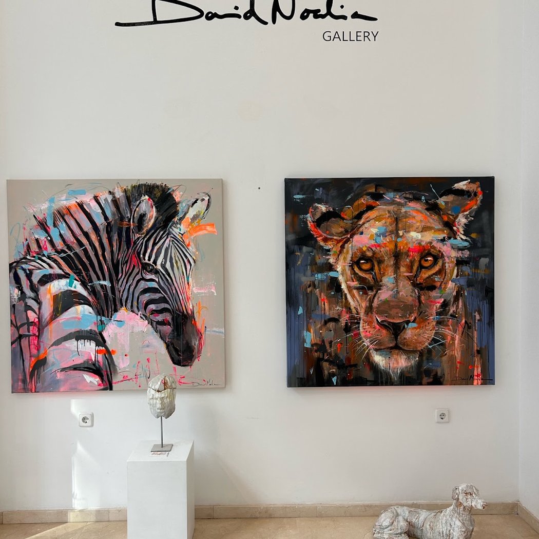 David Noalia Gallery 3