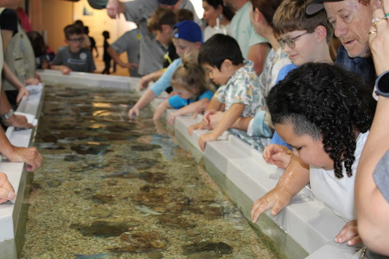 Sea Center Texas 1