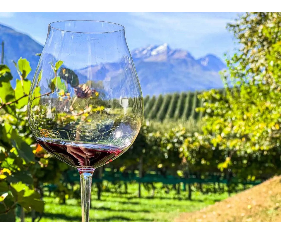 Montalcino Wine Dinner 1