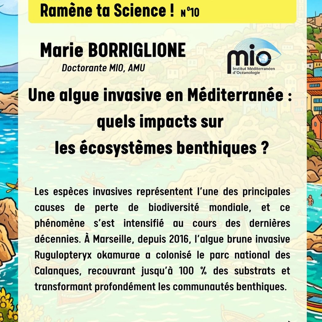 Quel littoral pour demain ? Focus sur Marseille 1