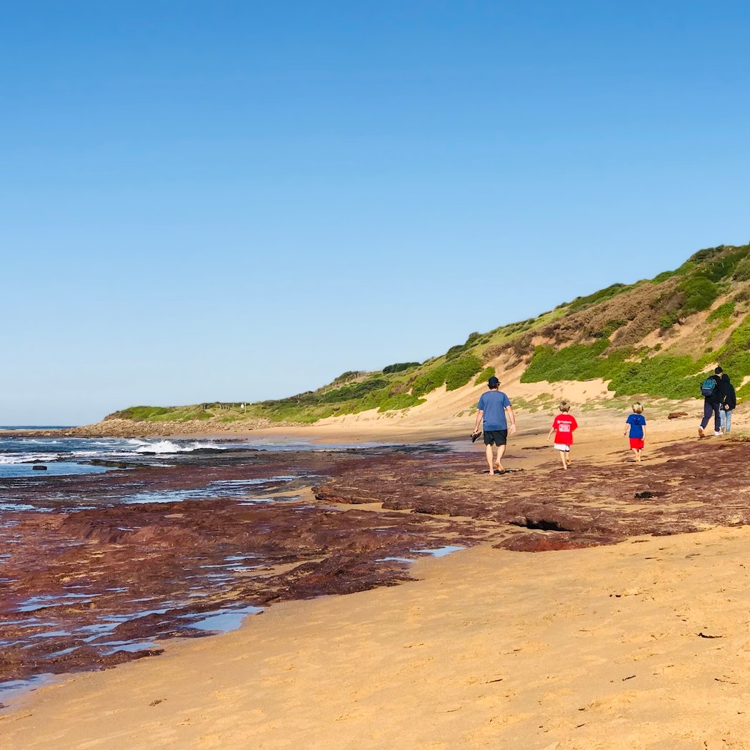 Long Reef Beach 3