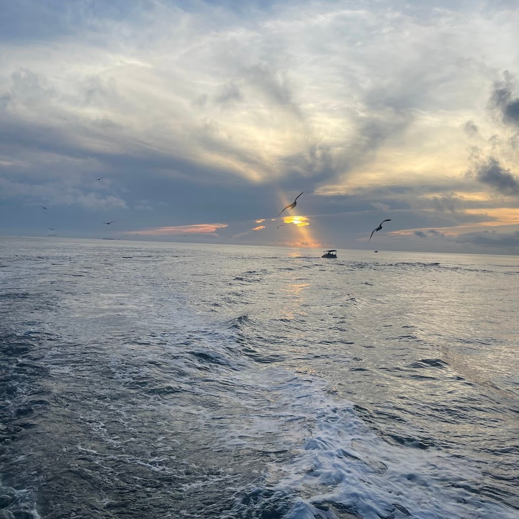 Cape May Whale Watcher, INC 3