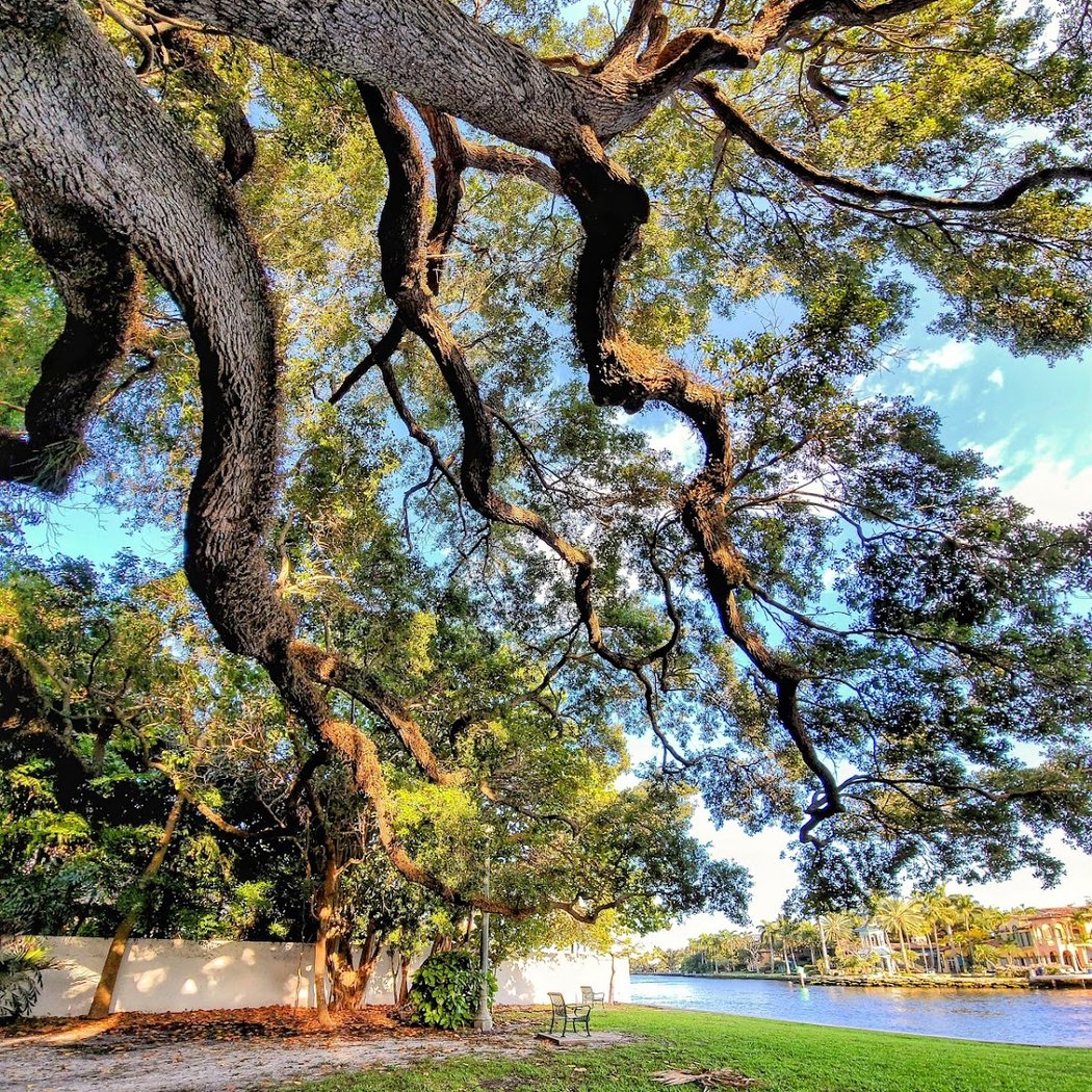 Colee Hammock Park 1