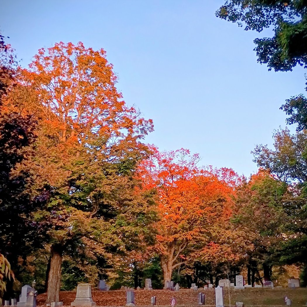 Mount Albion Cemetery 2