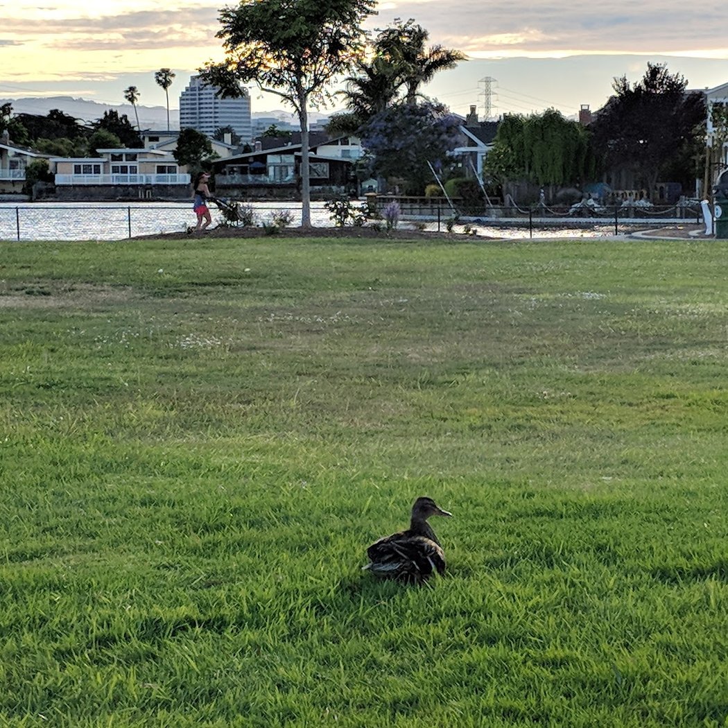 Pompano Park 3