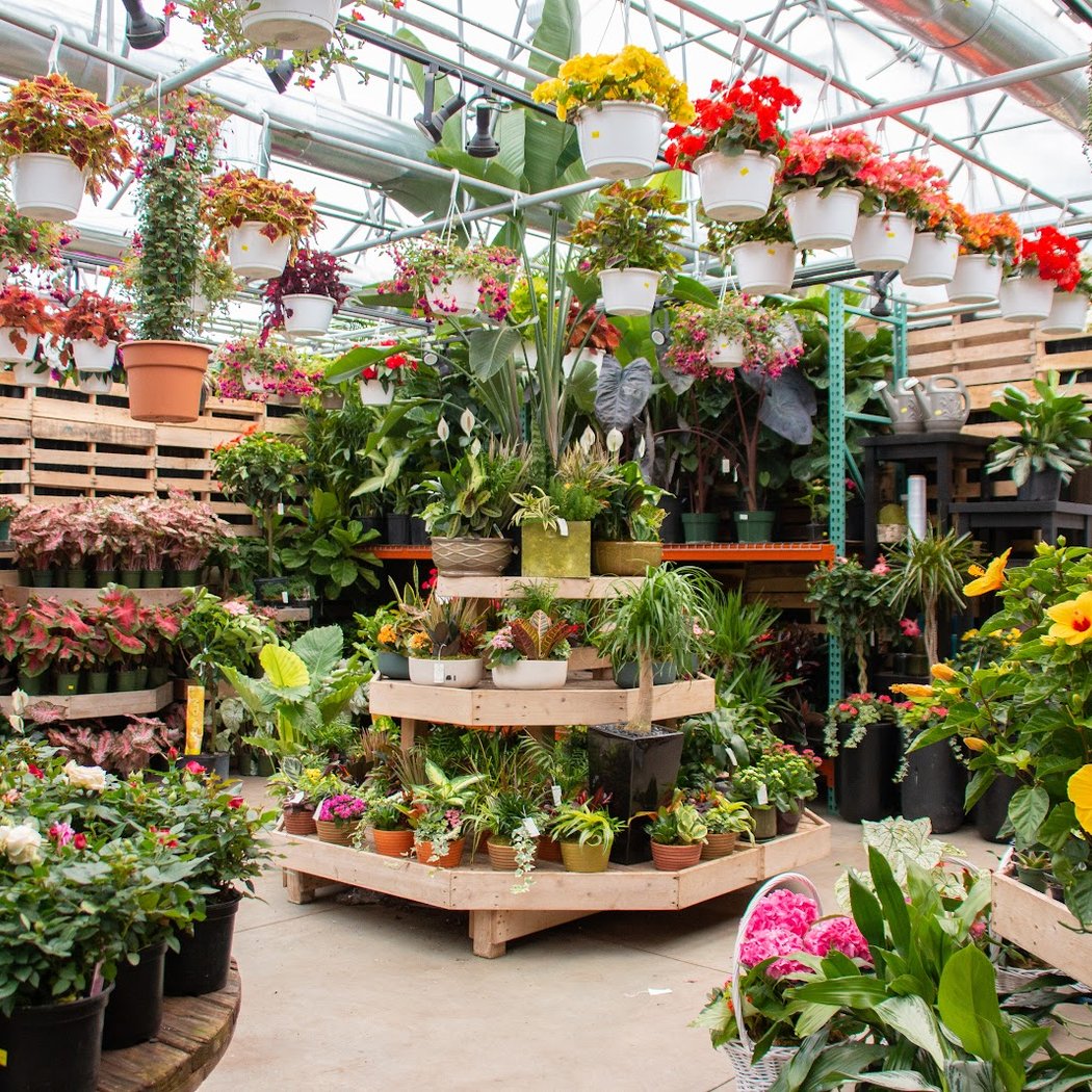 QG Floral & Landscape 1