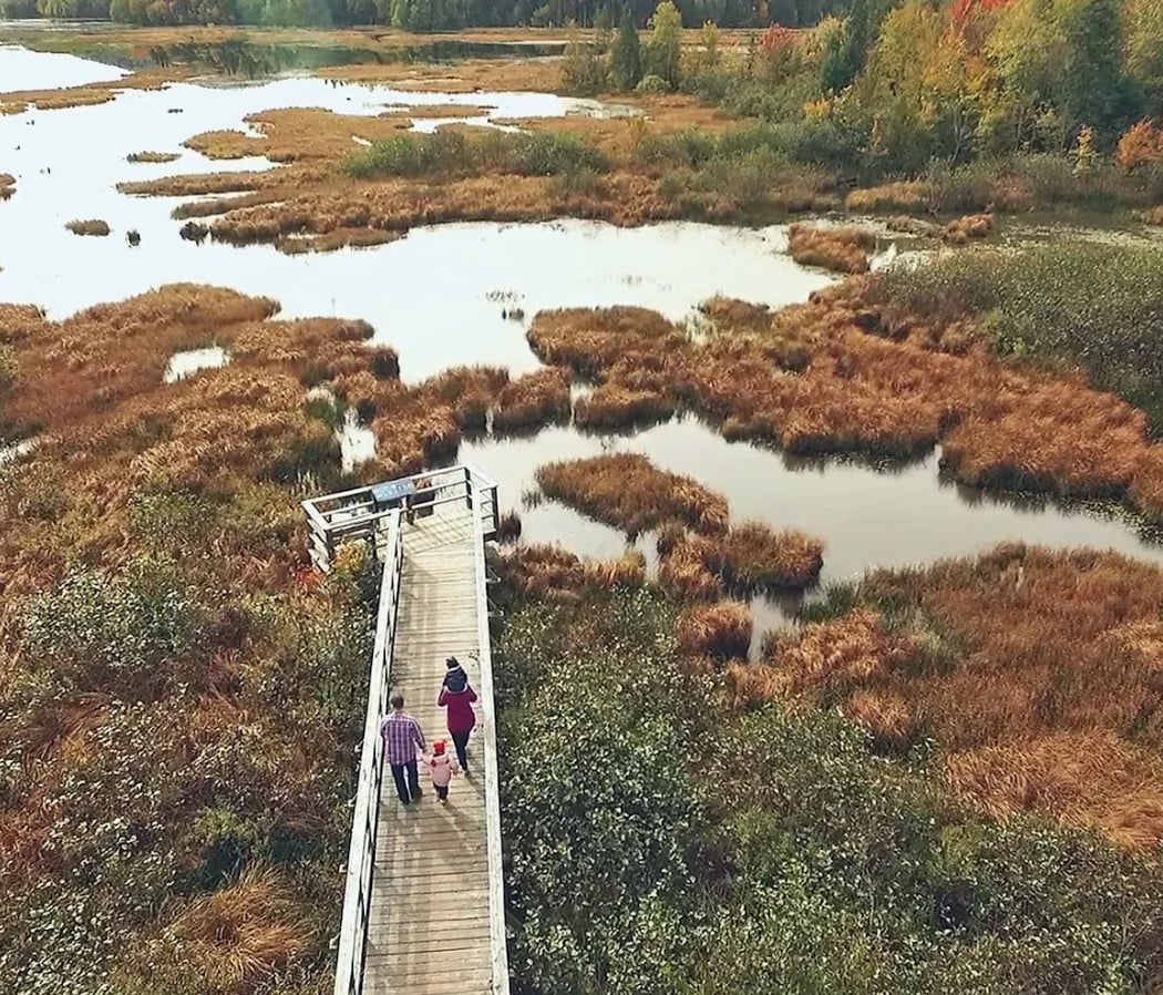 Marais du Nord (Les) 1