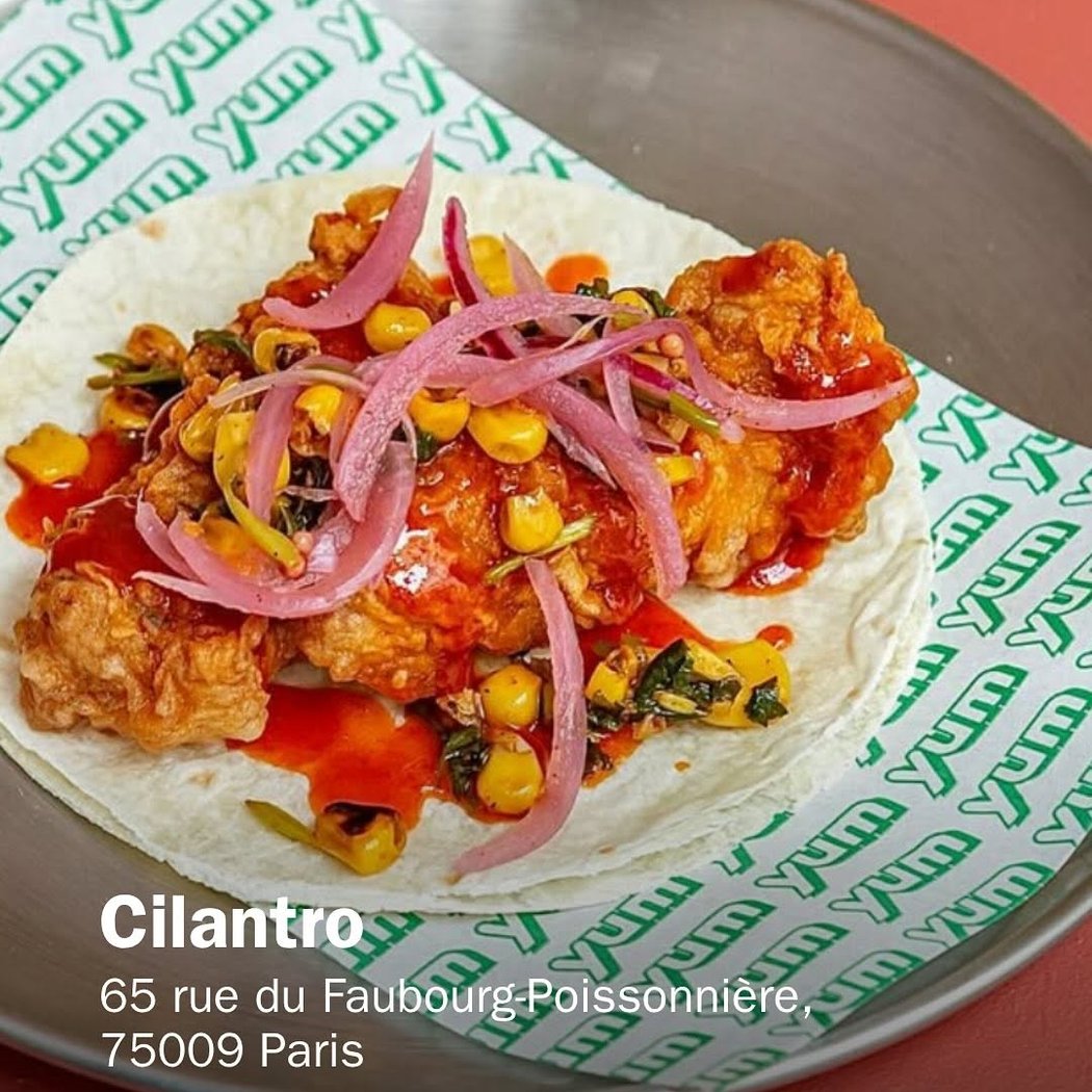 Cilantro 1
