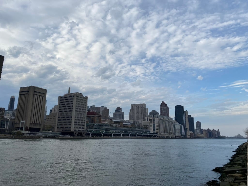Roosevelt Island viewpoint 3
