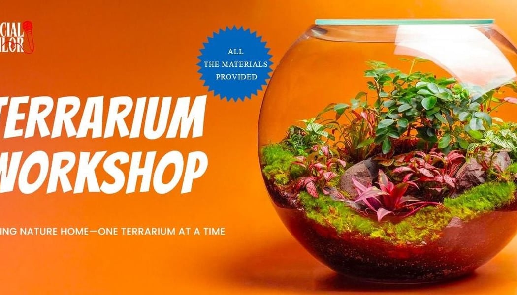 Terrarium Workshop Date 1