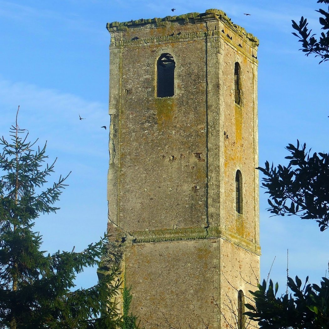 L'Abbaye de Buzay 2
