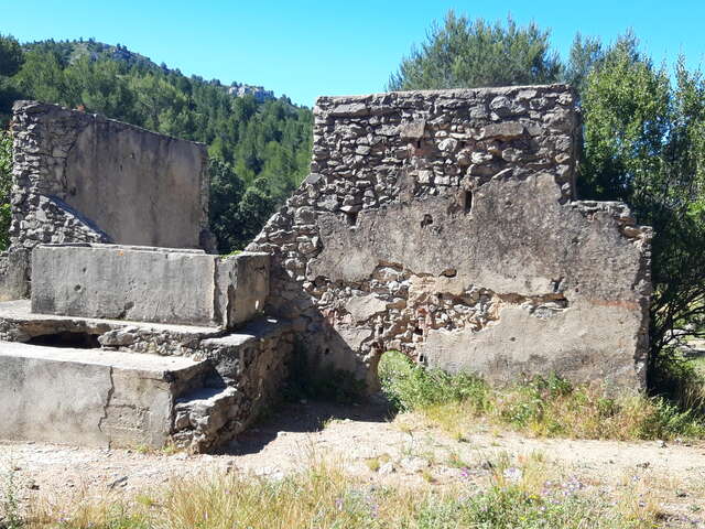 La Treille 5