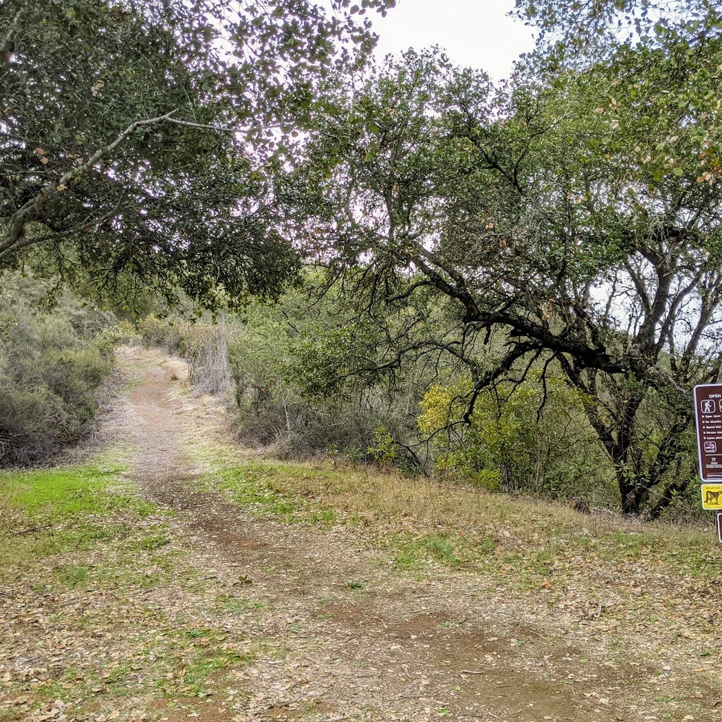 Foothills Open Space Preserve 2