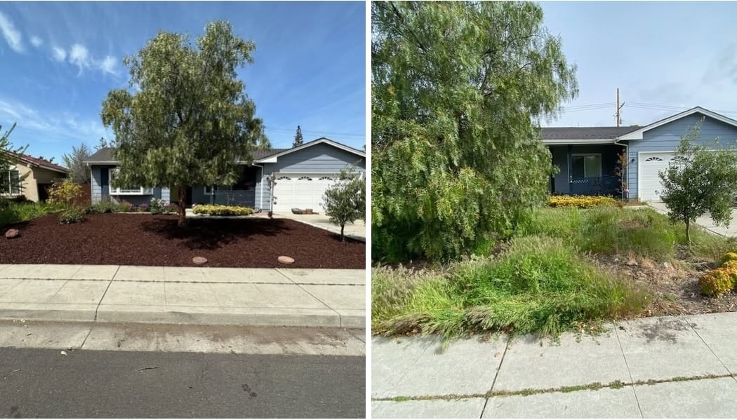San Jose Yard Clean Up 3