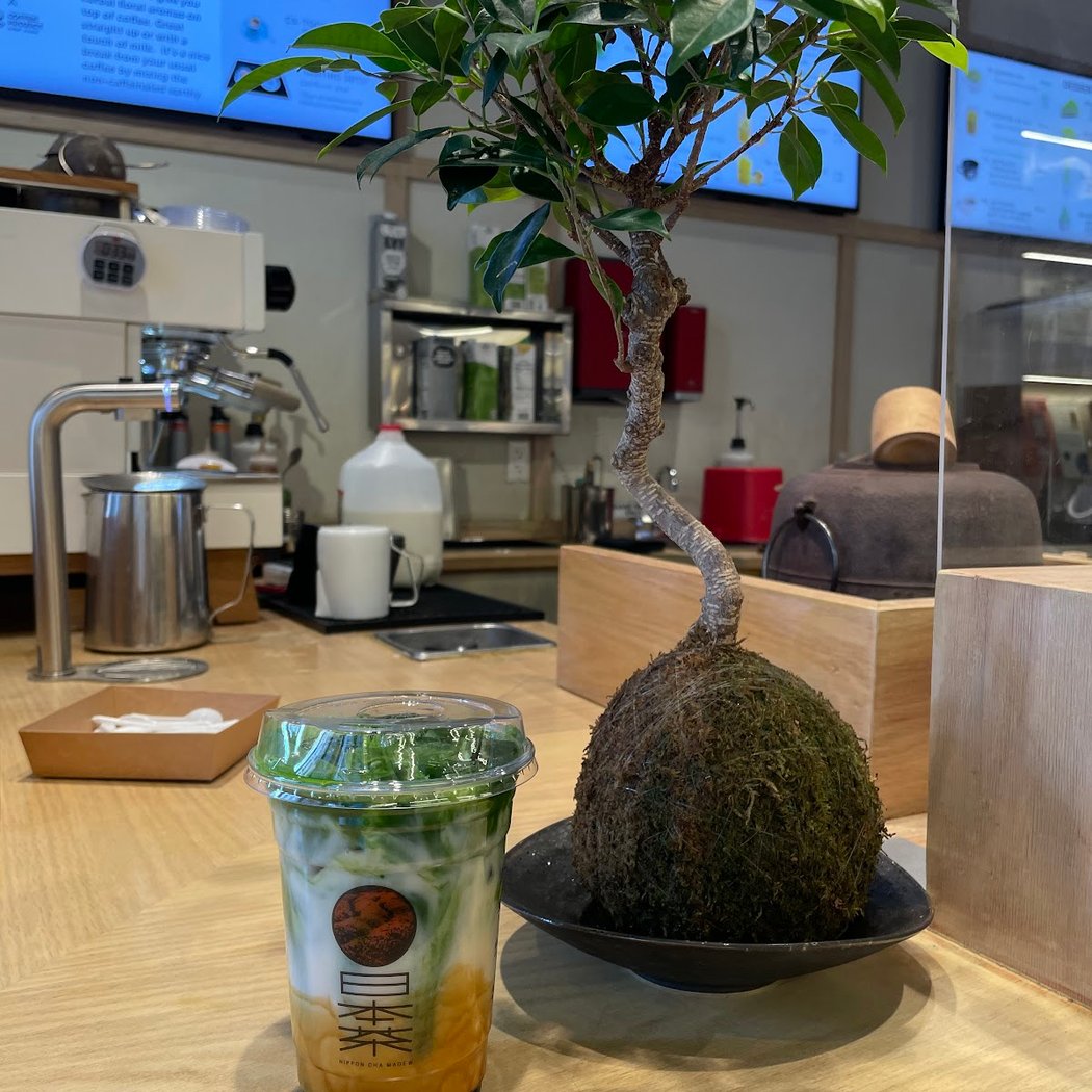 Nippon Cha | Williamsburg 1