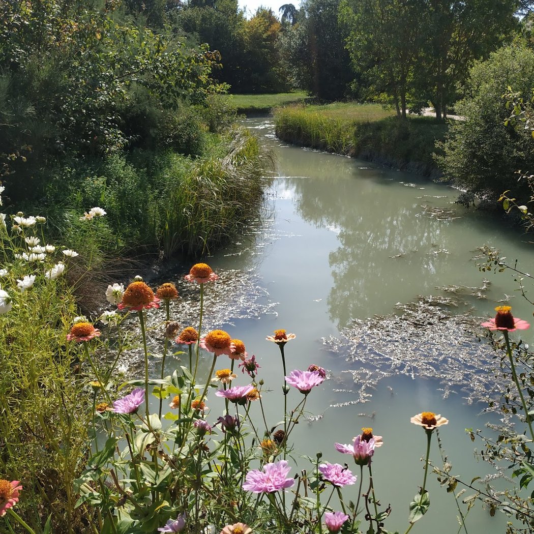 Jardin anglais 3