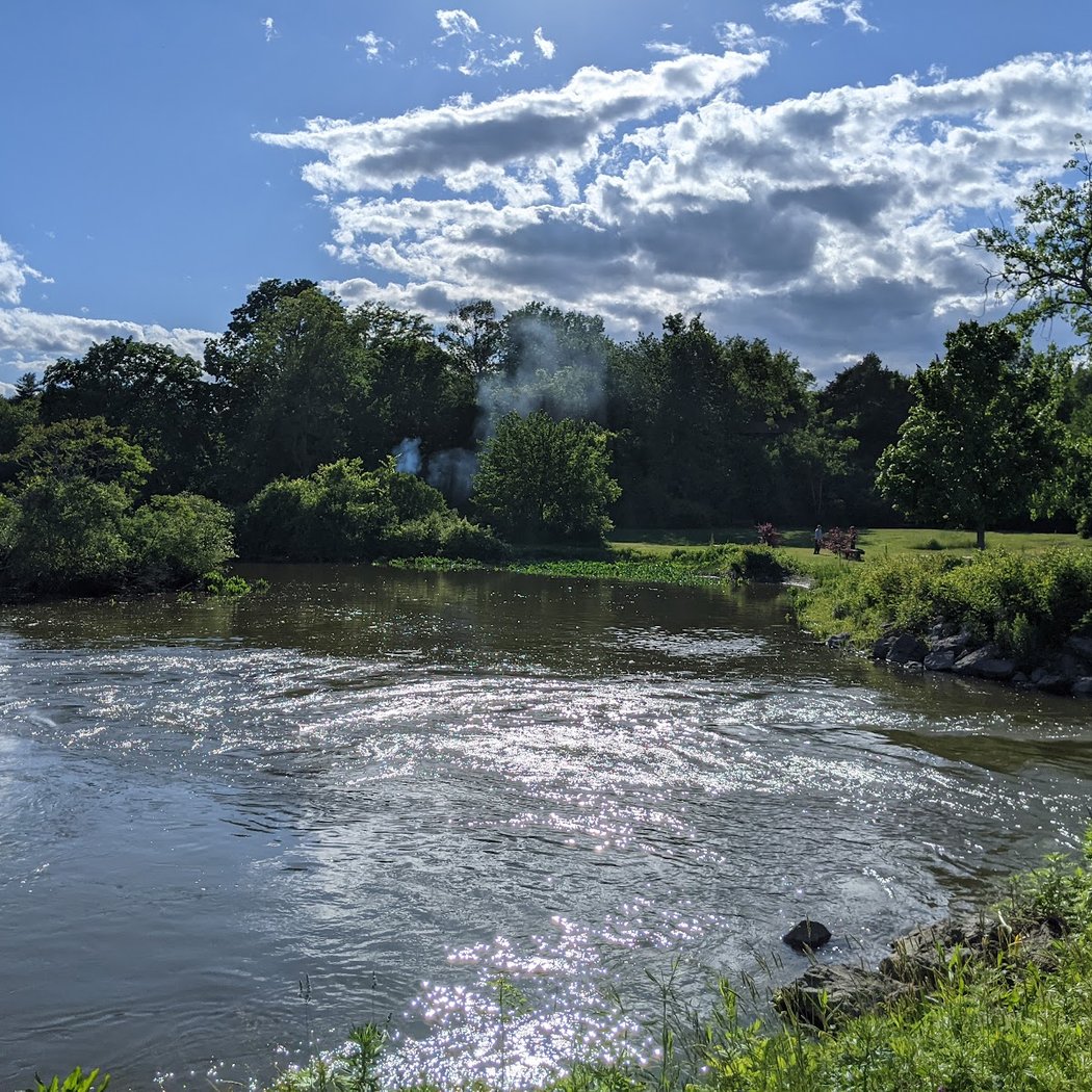 Kingston Point Rail Trail 2