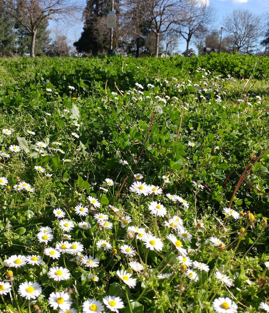 Lone Hill Park 1