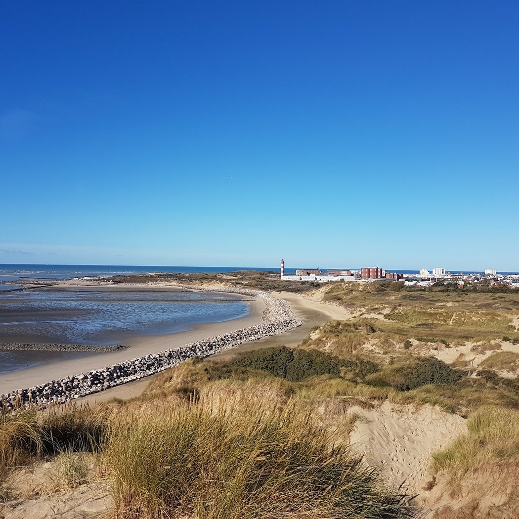 Sentier de la Baie d'Authie 3