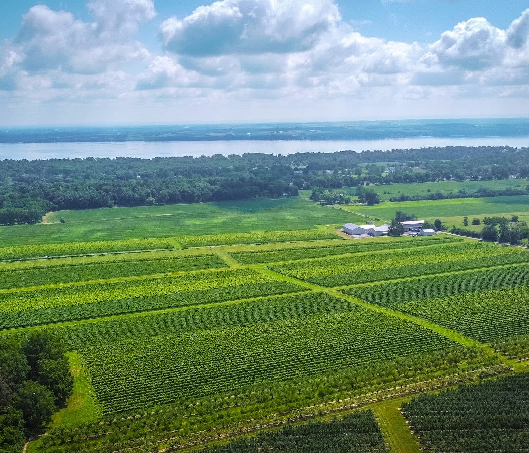 Ravines Wine Cellars 2
