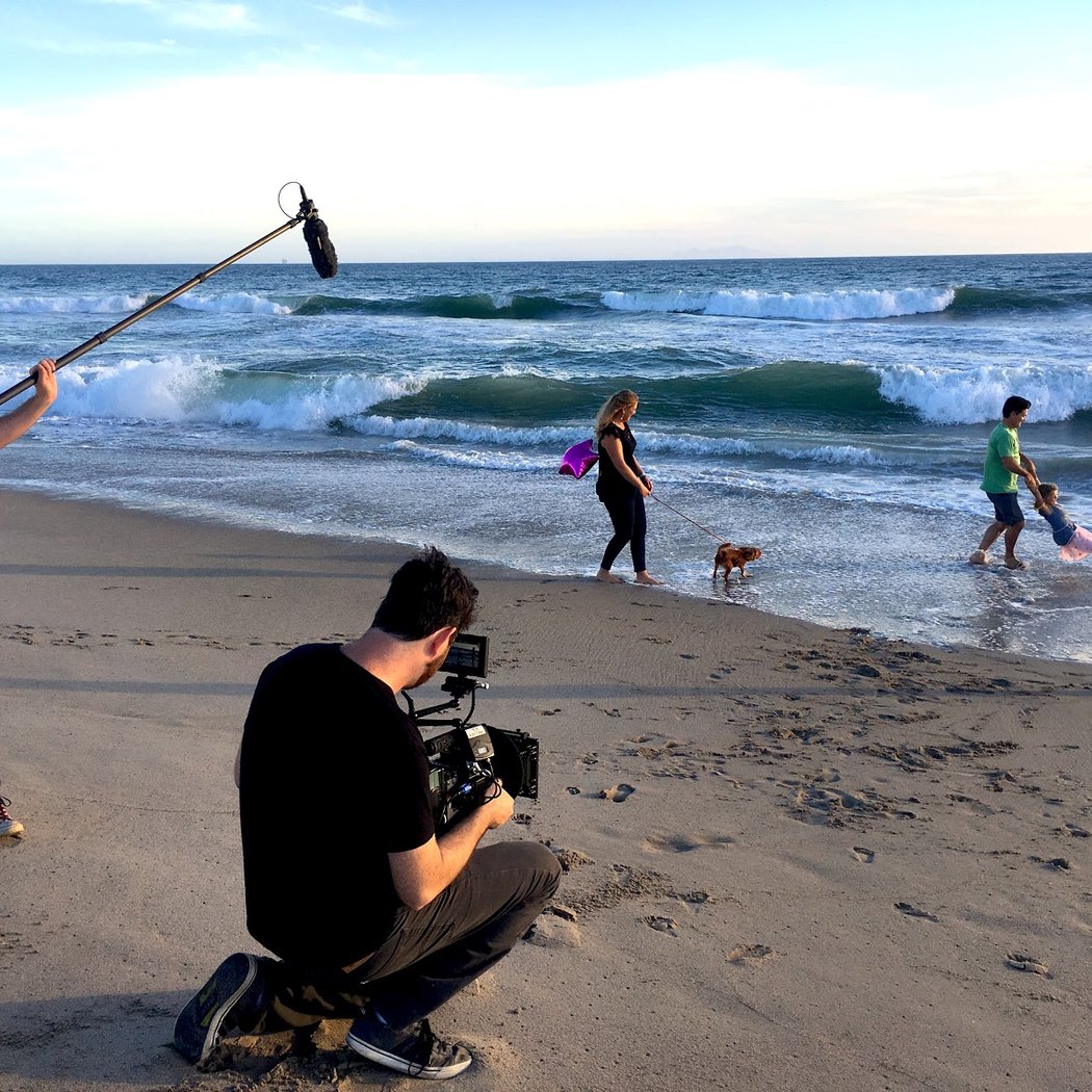 Satellite Film and Video 1
