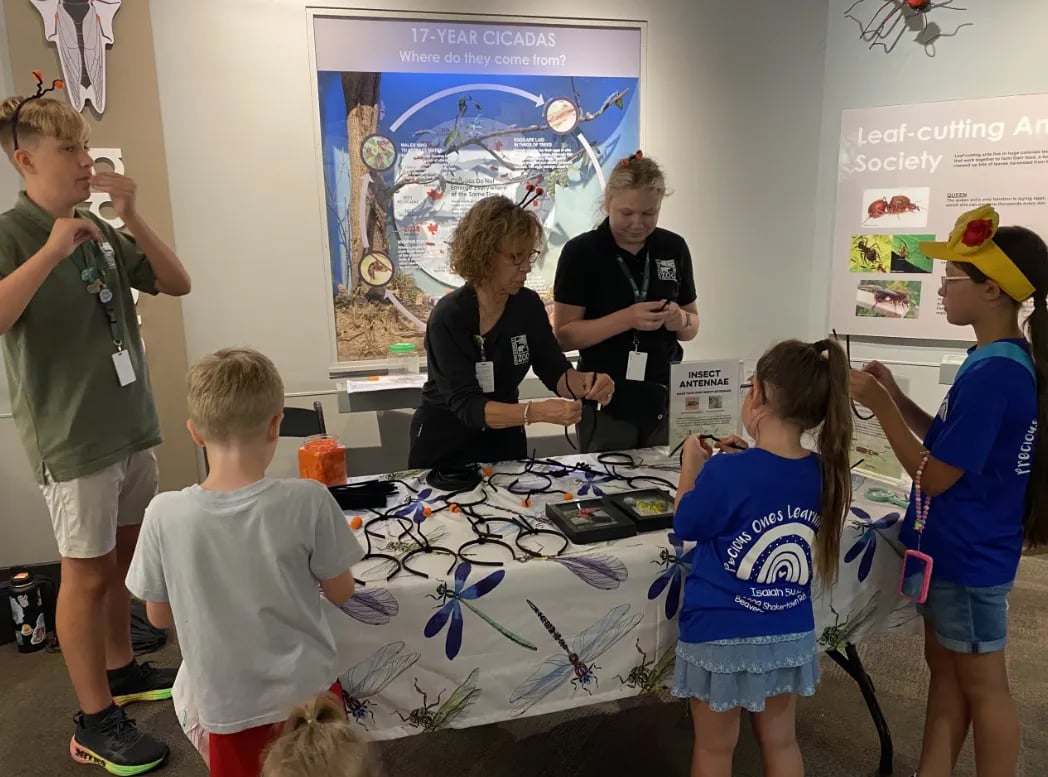 National Insect Week / Insect Fest 1