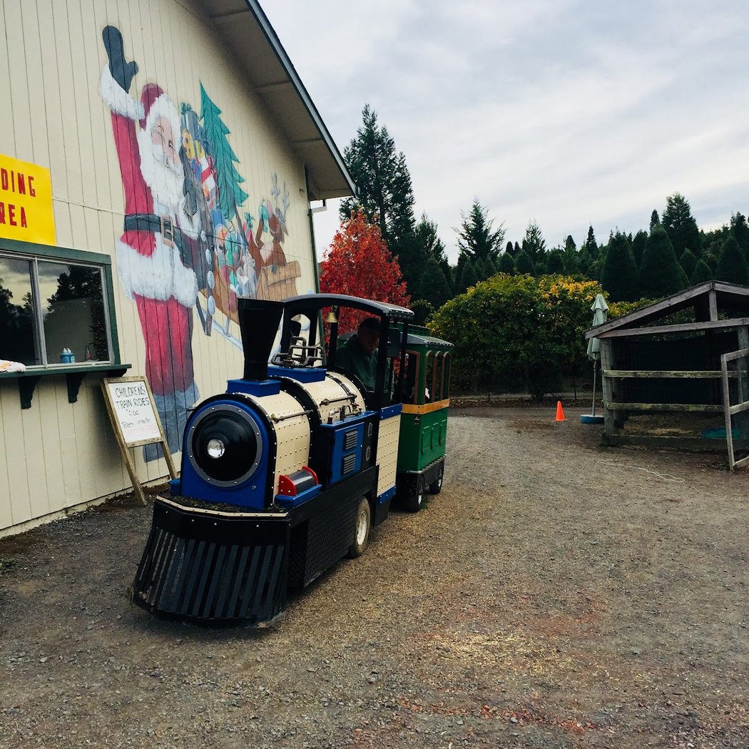 Reindeer Ridge Christmas Tree Farm 3