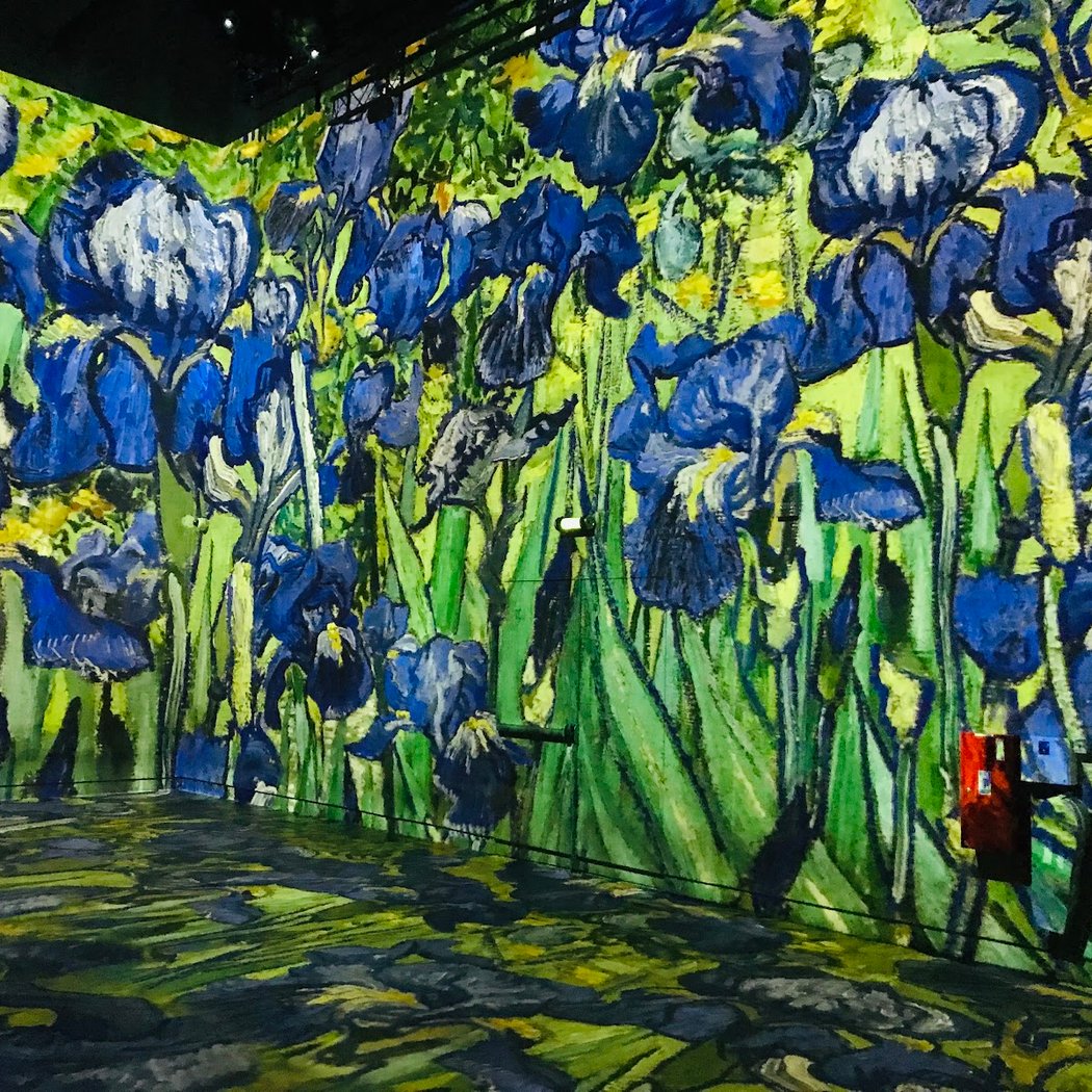An Artistic Journey Through Unmissable Exhibitions 4