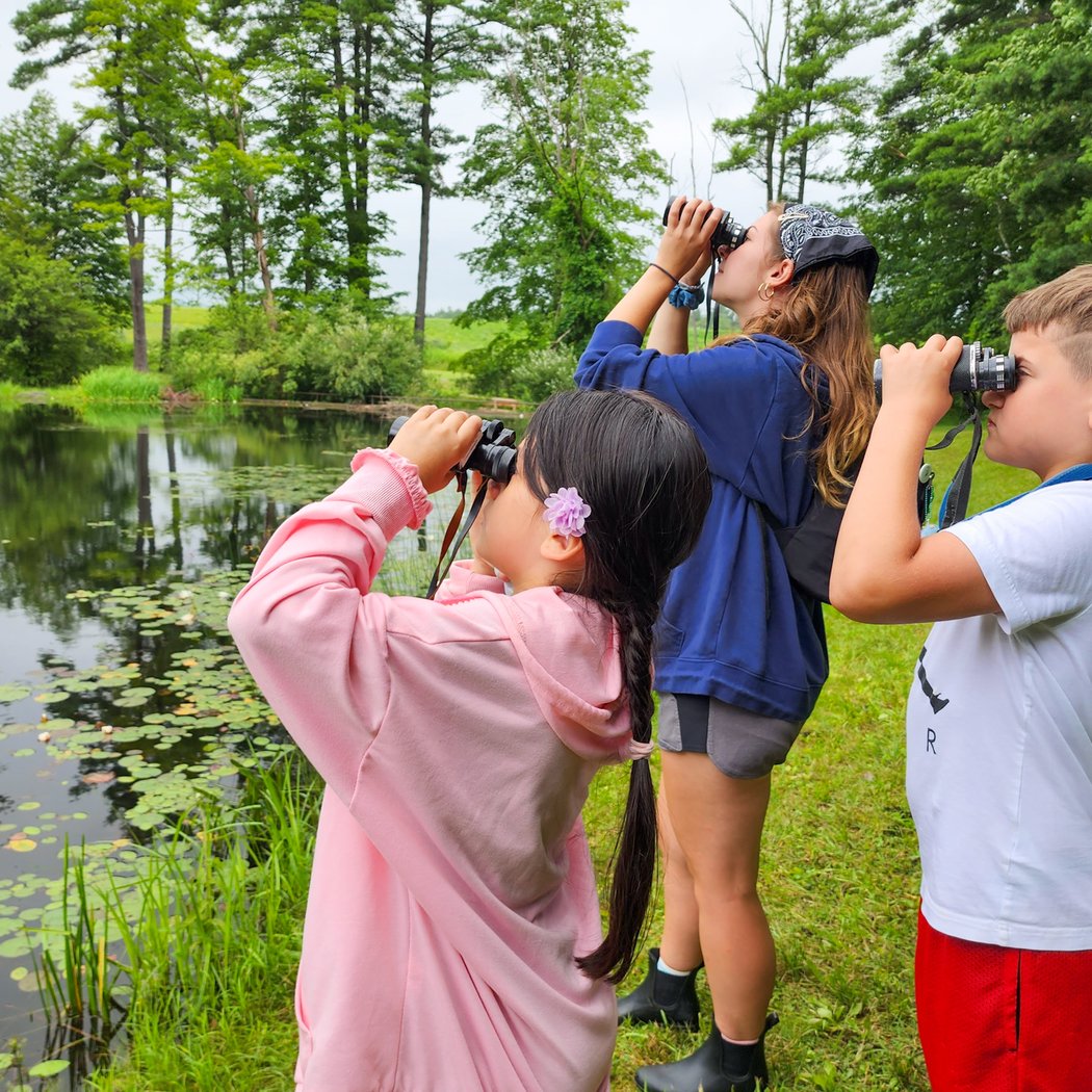 Animal Adventures Summer Camp 1