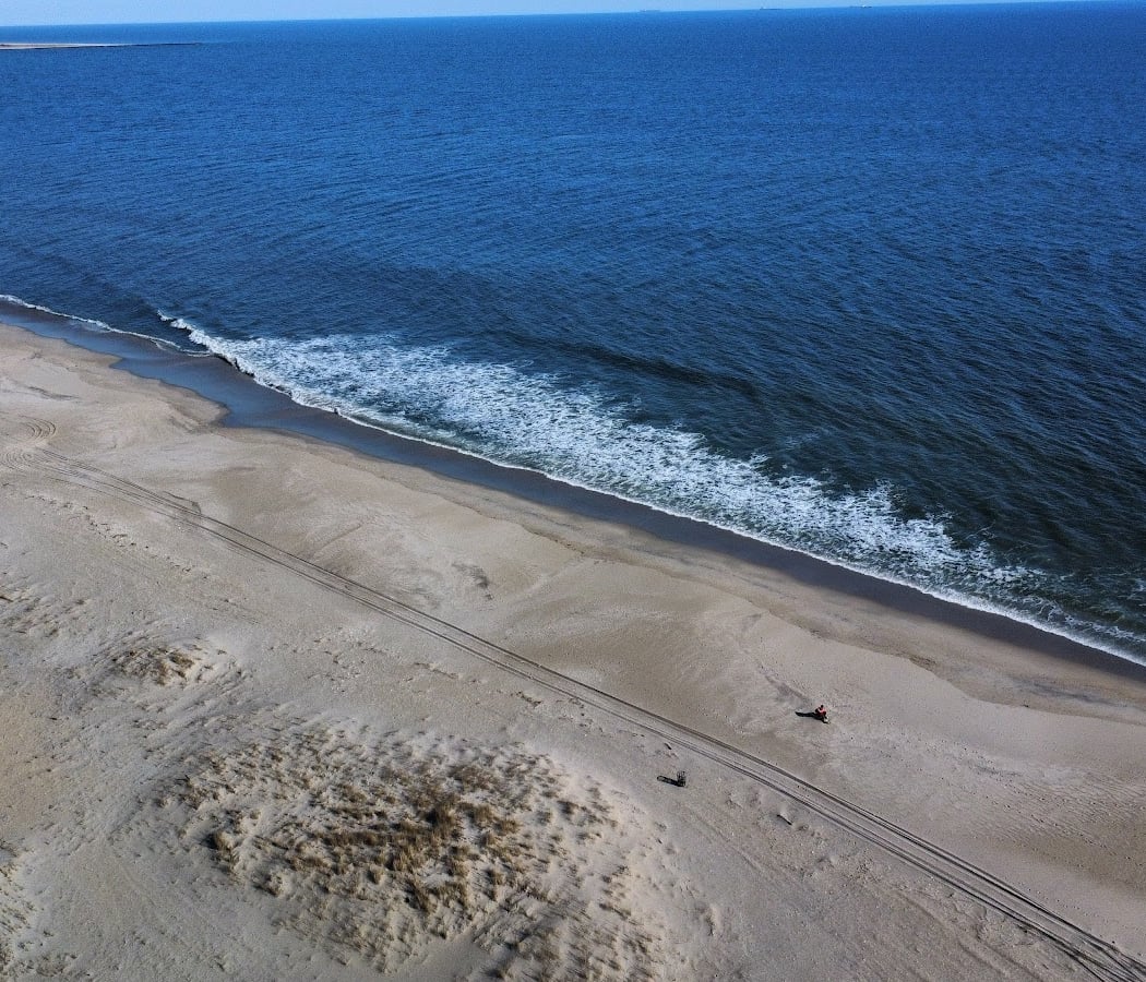 Beach Cleanup 3