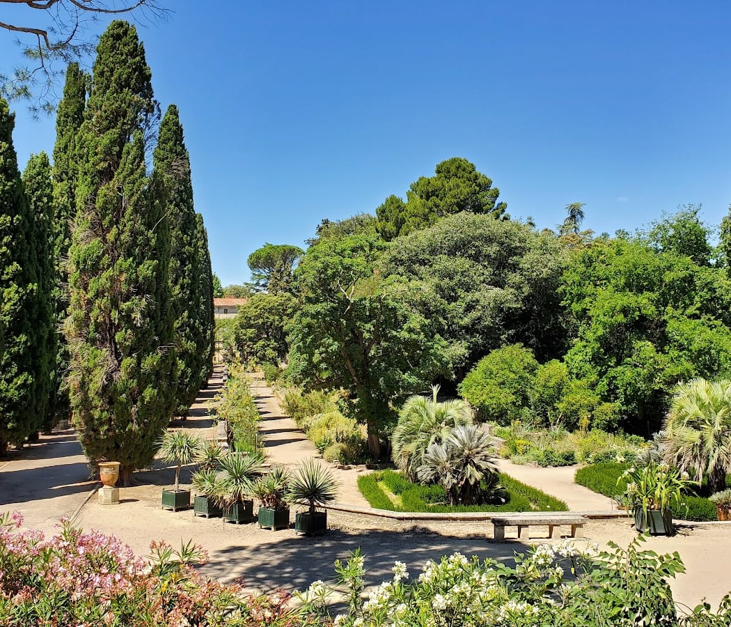 Jardin des plantes de Montpellier 4