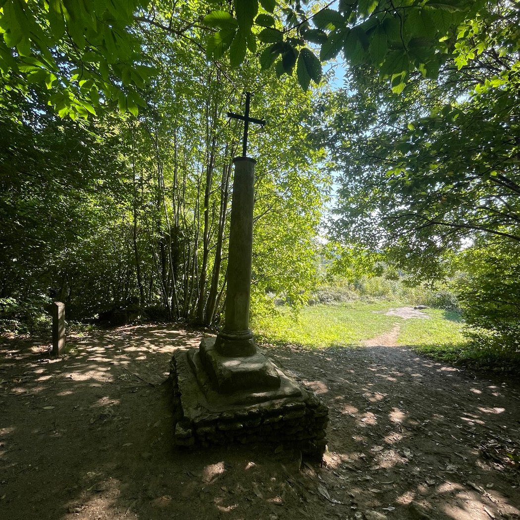 Forêt Domaniale de Marly-le-Roi 1