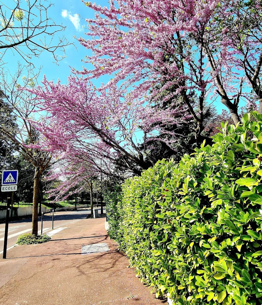 Parc Carrey de Bellemare 3