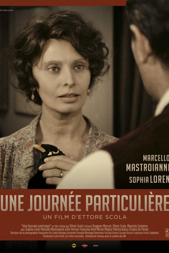 Une journée particulière 1