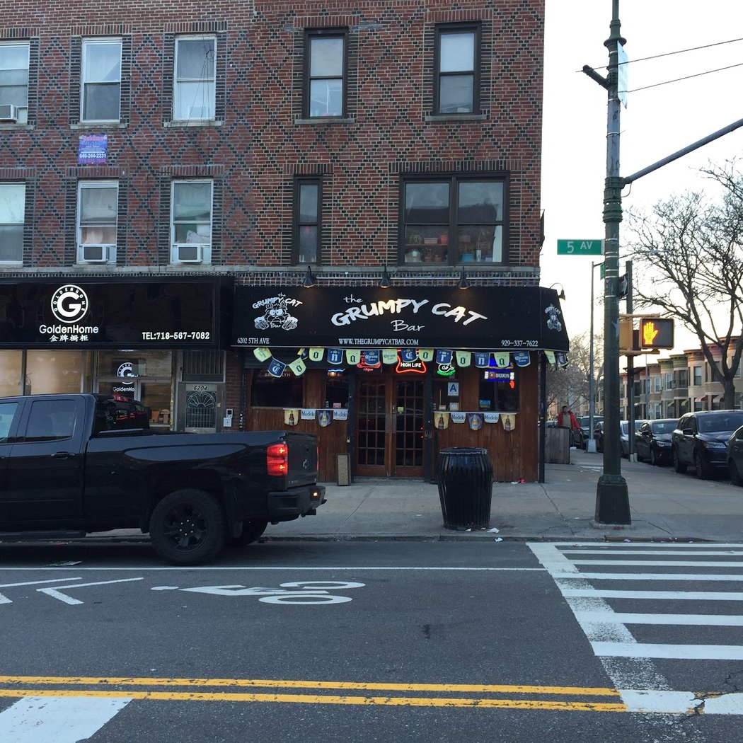 The Grumpy Cat Bar 2