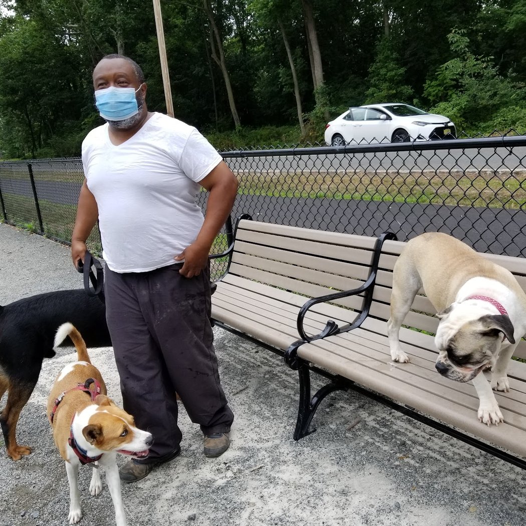 Essex County Branch Brook Park Dog Park 3