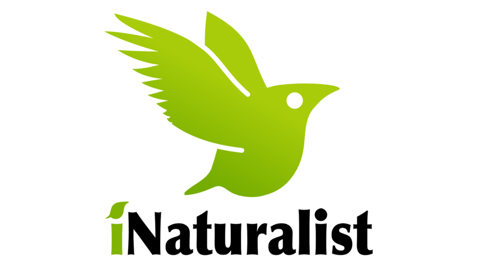 iNaturalist 2