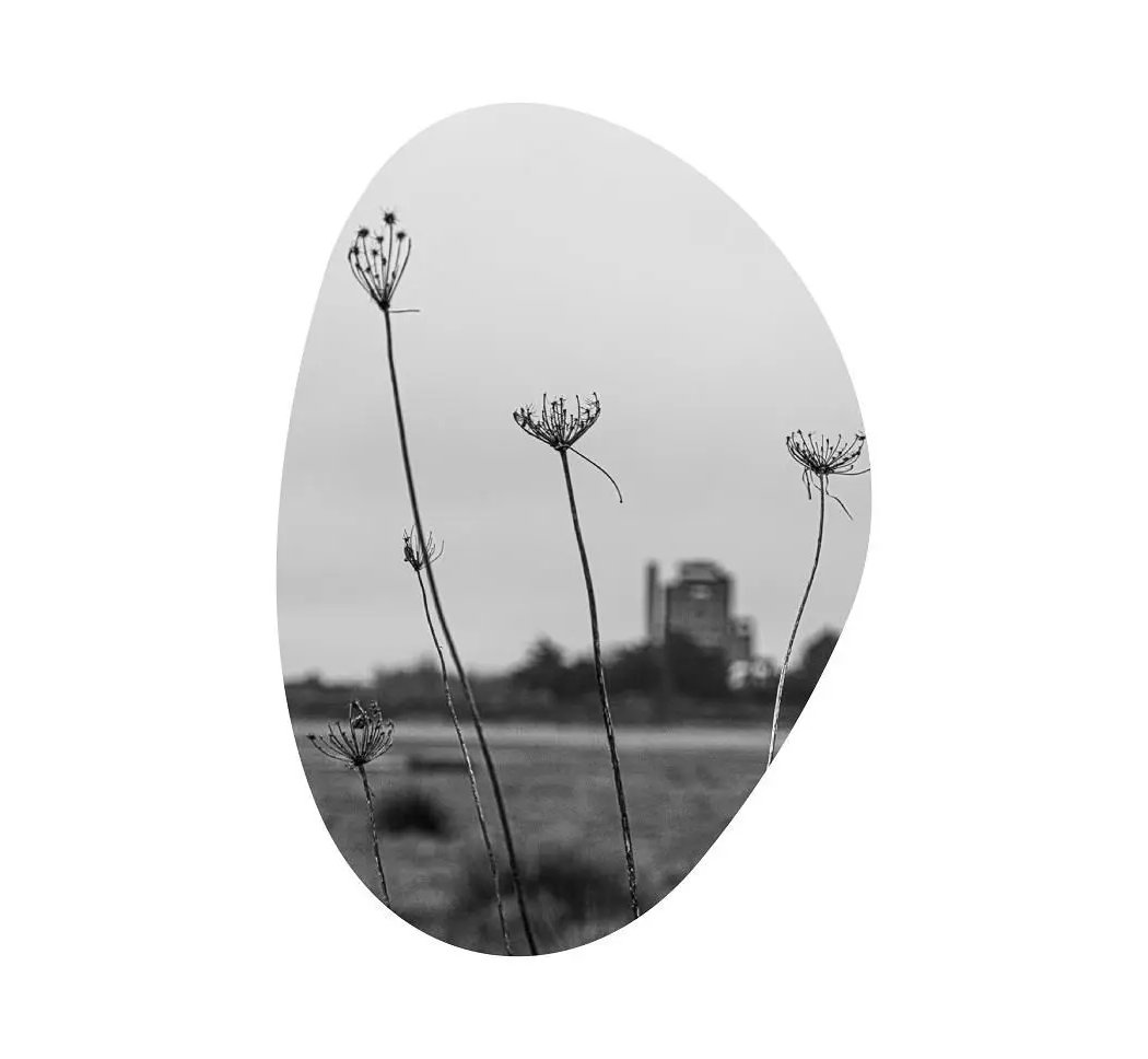 Expo photo « Les Forges de Trignac, entre mémoire et métamorphose » 1