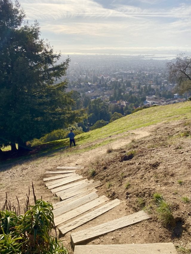 Claremont Canyon Regional Preserve 2