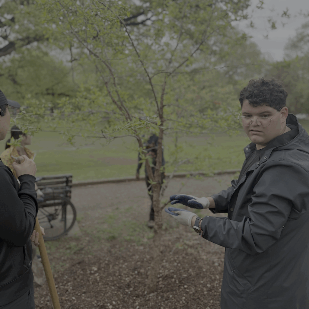 Clark Park Natural Area Stewardship Workday 3
