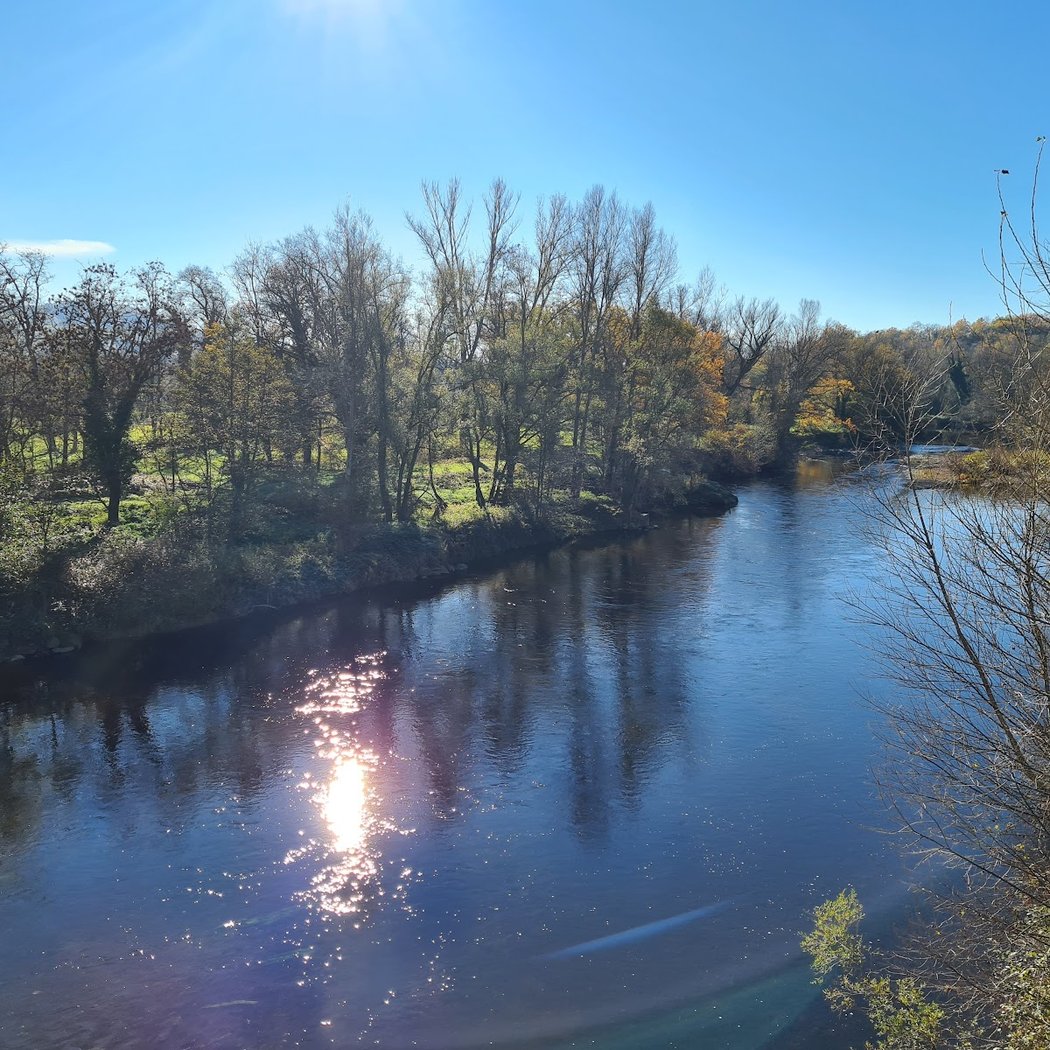 Allier River 2